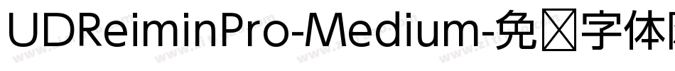 UDReiminPro-Medium字体转换