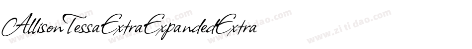 AllisonTessaExtraExpandedExtrablack-R6WM-2字体转换