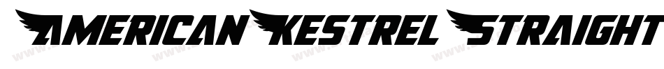 AmericanKestrelStraightGrad-vz3E字体转换