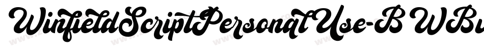 WinfieldScriptPersonalUse-BWBv5字体转换