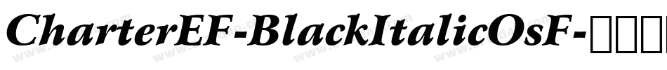 CharterEF-BlackItalicOsF字体转换
