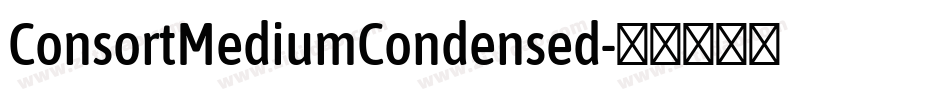 ConsortMediumCondensed字体转换