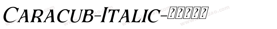 Caracub-Italic字体转换