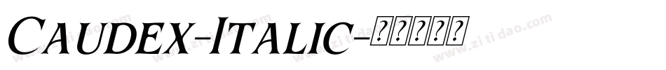 Caudex-Italic字体转换