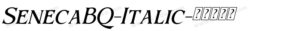 SenecaBQ-Italic字体转换