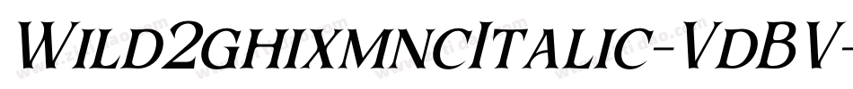 Wild2ghixmncItalic-VdBV字体转换