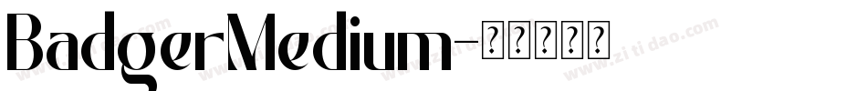 BadgerMedium字体转换