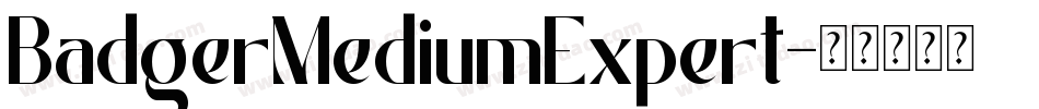 BadgerMediumExpert字体转换