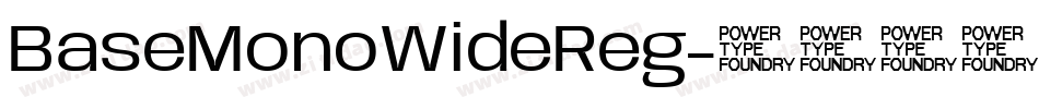 BaseMonoWideReg字体转换