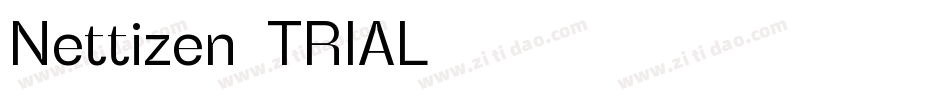 Nettizen_TRIAL字体转换