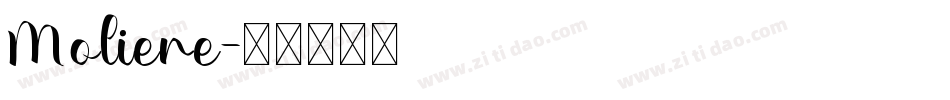 Moliere字体转换