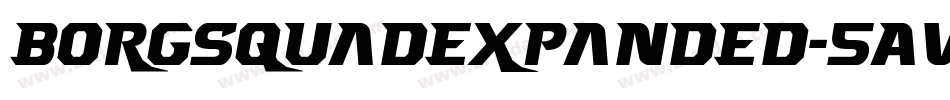 BorgsquadExpanded-5AVz字体转换