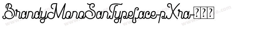 BrandyMonoSanTypeface-pXra字体转换