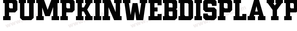 PumpkinWebDisplayPersonalUse-K7Oy7字体转换