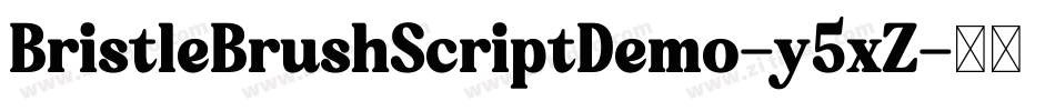 BristleBrushScriptDemo-y5xZ字体转换