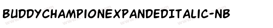 BuddyChampionExpandedItalic-nBPg字体转换