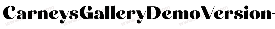 CarneysGalleryDemoVersion-2Ov0o字体转换