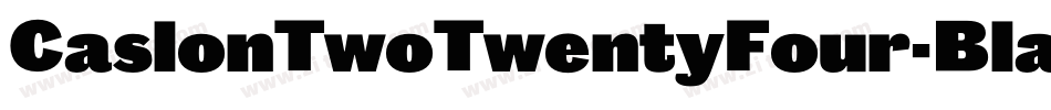 CaslonTwoTwentyFour-Black字体转换
