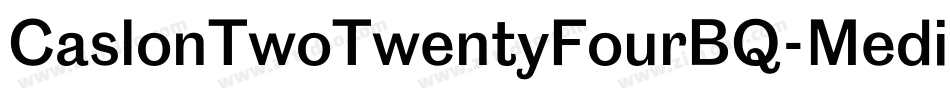 CaslonTwoTwentyFourBQ-Medium字体转换