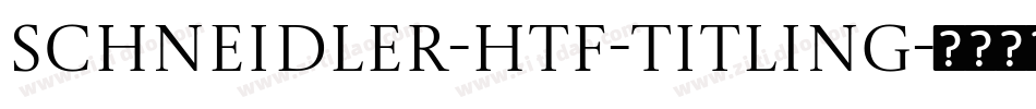 Schneidler-HTF-Titling字体转换