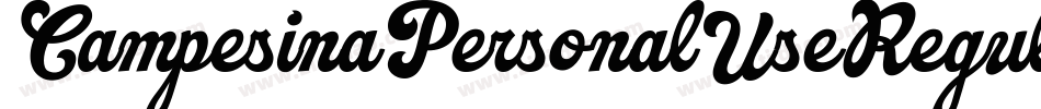 CampesinaPersonalUseRegular-w13Pw字体转换 CampesinaPersonalUseRegular-w13Pw字体转换