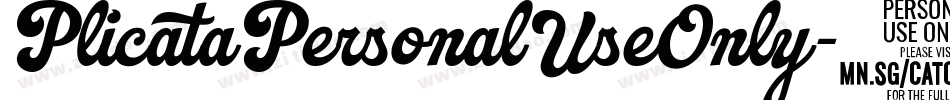PlicataPersonalUseOnly-2lVw字体转换