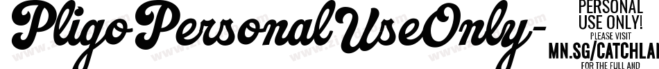 PligoPersonalUseOnly-41LB字体转换