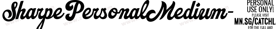 SharpePersonalMedium-7Lv4字体转换