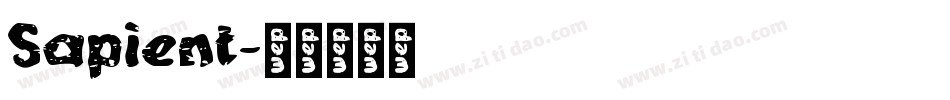 Sapient字体转换
