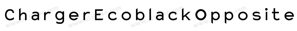 ChargerEcoblackOppositeOblique-YL14字体转换