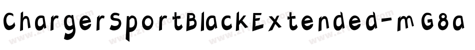 ChargerSportBlackExtended-mG8a字体转换