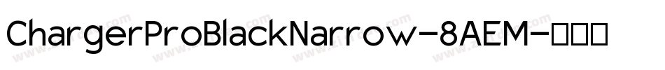 ChargerProBlackNarrow-8AEM字体转换
