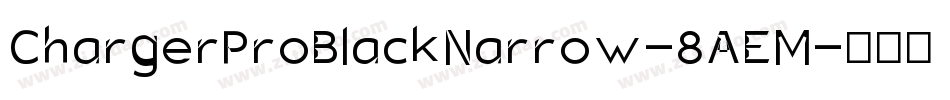 ChargerProBlackNarrow-8AEM字体转换