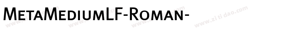 MetaMediumLF-Roman字体转换