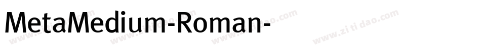 MetaMedium-Roman字体转换