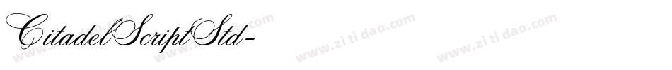 CitadelScriptStd字体转换