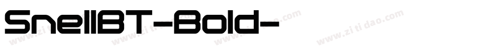 SnellBT-Bold字体转换