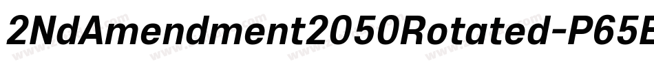 2NdAmendment2050Rotated-P65E字体转换