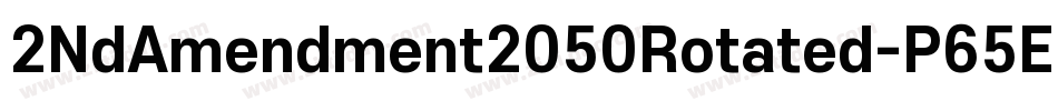 2NdAmendment2050Rotated-P65E字体转换