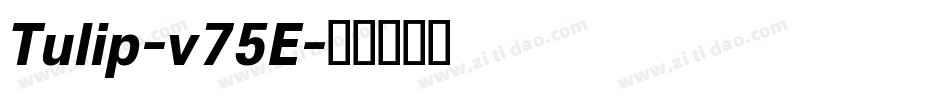 Tulip-v75E字体转换