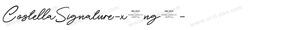 CostellaSignature-x3ng5字体转换