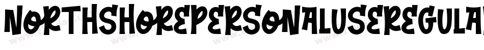 NorthShorePersonalUseRegular-rgxwx字体转换 NorthShorePersonalUseRegular-rgxwx字体转换