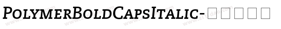 PolymerBoldCapsItalic字体转换
