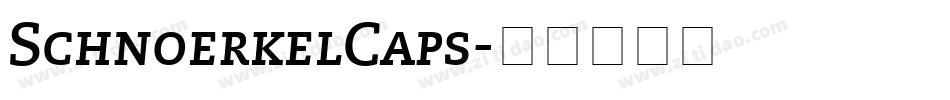 SchnoerkelCaps字体转换