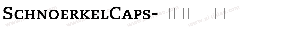 SchnoerkelCaps字体转换