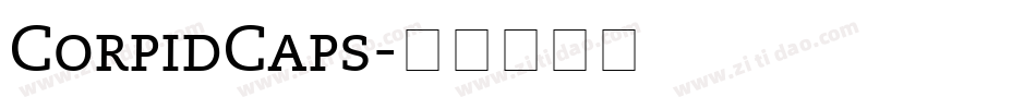 CorpidCaps字体转换