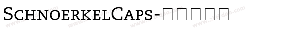 SchnoerkelCaps字体转换