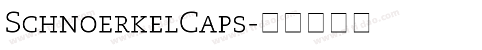 SchnoerkelCaps字体转换
