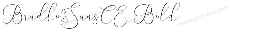 BradloSansCE-Bold字体转换