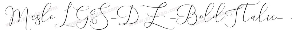 MesloLGS-DZ-BoldItalic-11字体转换